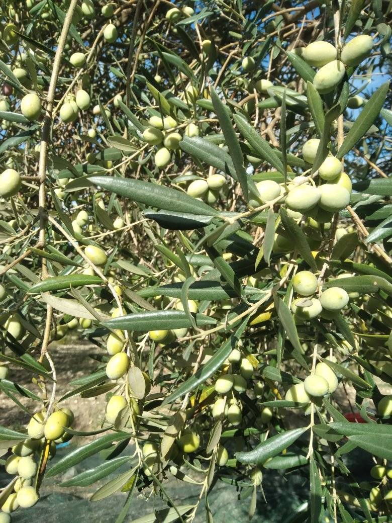 581725681 10235517415829554 4077425237147010522 n