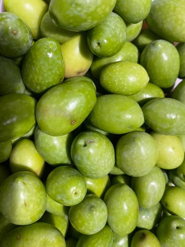 582533541 10235517406789328 4898945825978640752 n