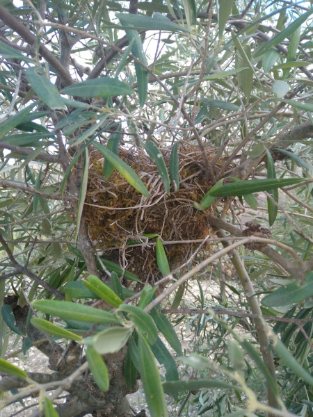 WhatsApp Image 2024 11 09 at 09.22.15 1