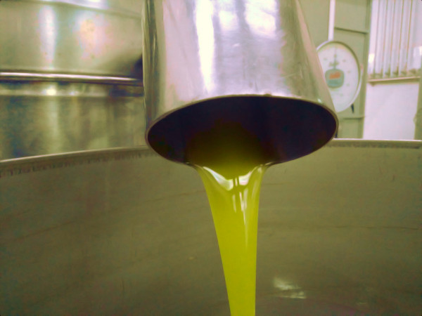 WhatsApp Image 2024 11 11 at 21.43.40